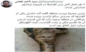 شناسایی عاملان آتش زدن کفتارها