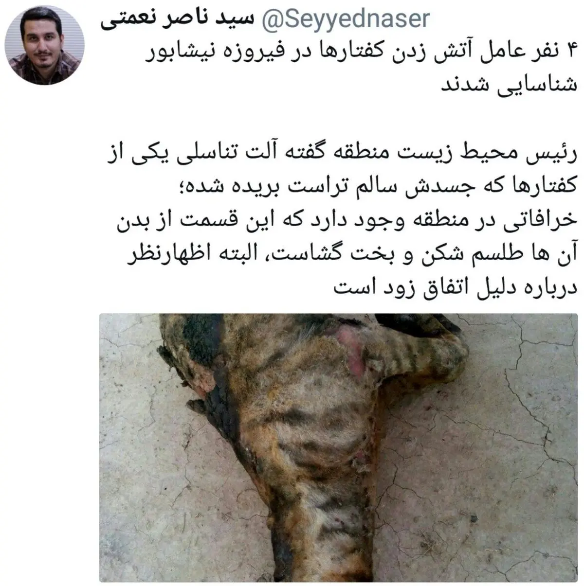 شناسایی عاملان آتش زدن کفتارها