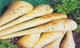 خواص غذایی زردک بنا به طب سنتی