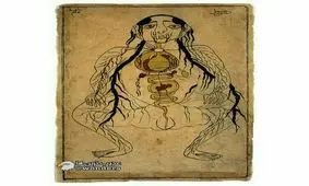 پیشرفت علم پزشکی در قرن ششم هجری