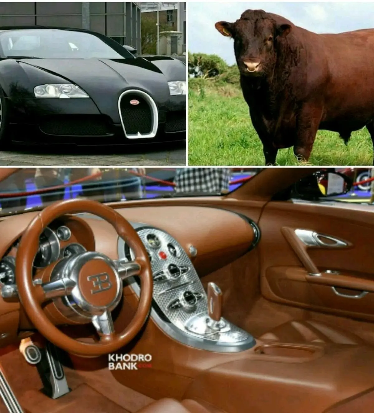 چرم به کاررفته در سریع‌ترین خودروی جهان