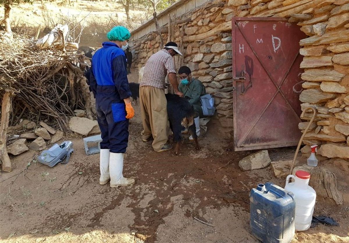 ‌آمار مبتلایان به تب مالت در استان کردستان کاهش یافت