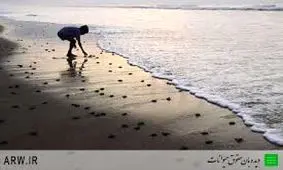 با همه‌ی مخلوقات خداوند مهربان باشيم