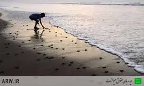 با همه‌ی مخلوقات خداوند مهربان باشيم