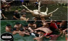 جشنواره بز کشی در نپال