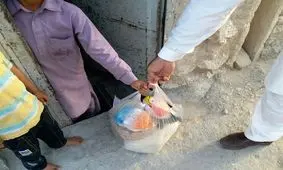 اعلام جزئیات مرحله اول طرح حمایت غذایی