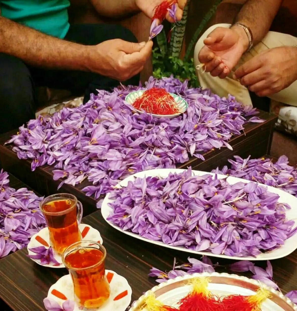 چای زعفران بنوشید