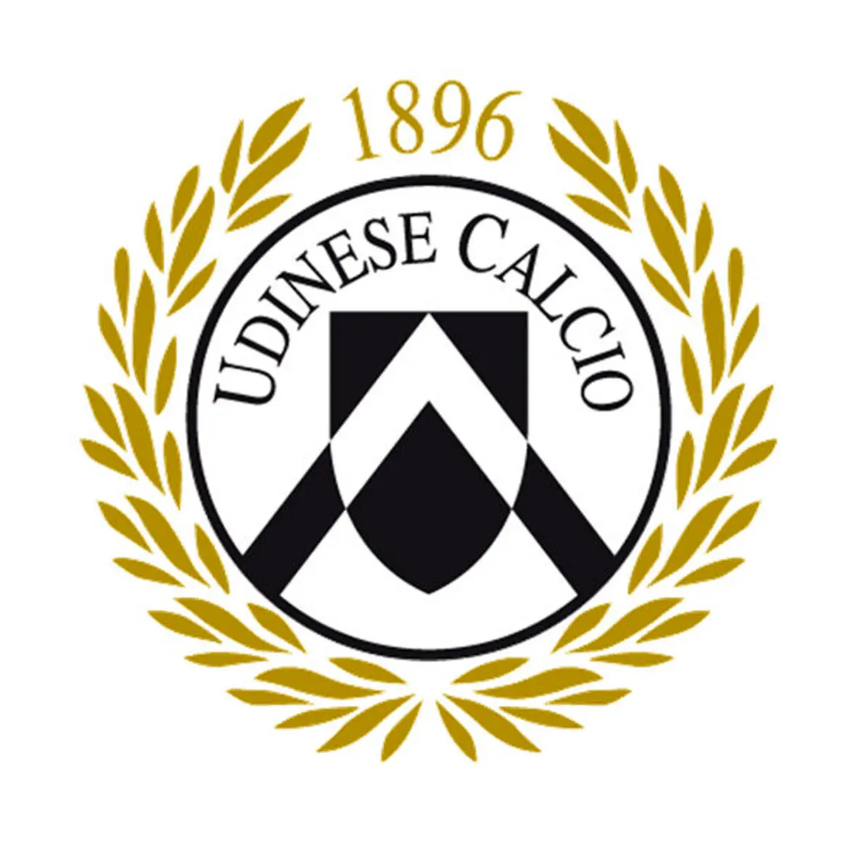 سرمربی جدید اودینزه انتخاب شد