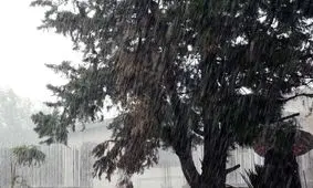 "بارش شدید باران" و سیلابی شدن رودخانه‌ها در انتظار کدام استانها است