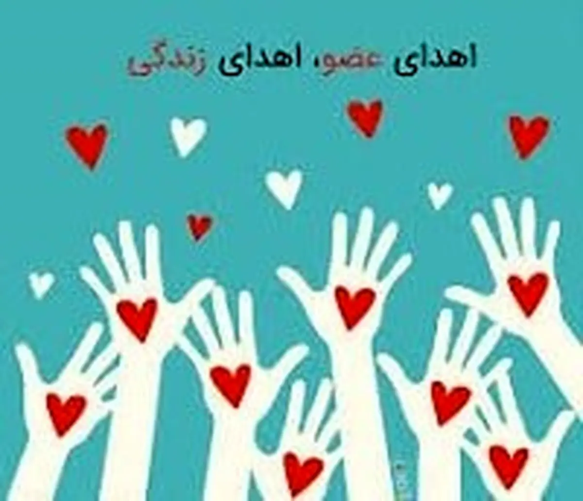 بانوی جوان مرگ مغزی به دو بیمار زندگی دوباره بخشید