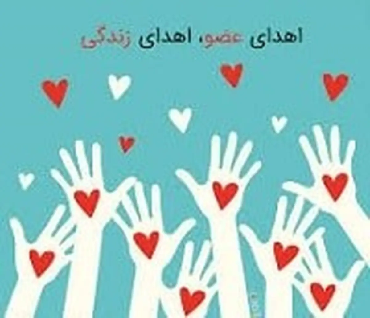 بانوی جوان مرگ مغزی به دو بیمار زندگی دوباره بخشید