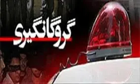 اختلاف مالی علت گروگان‌گیری دختربچه جیرفتی