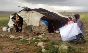 چادر عشایر جوابگوی سرما و برف نیست؛ عشایر هرچه سریعتر باید کوچ کنند