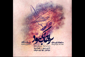 آلبوم «ترانه‌های کبود» منتشر شد/ موسیقی جنوب کرمان