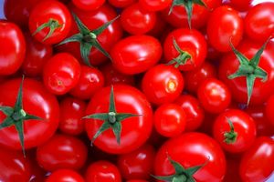‌صادرات گوجه‌فرنگی گلخانه‌ای همدان به عراق