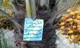 قدیما کشاوزرا مهربون تر بودن