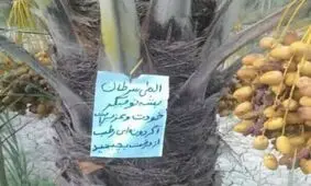 قدیما کشاوزرا مهربون تر بودن