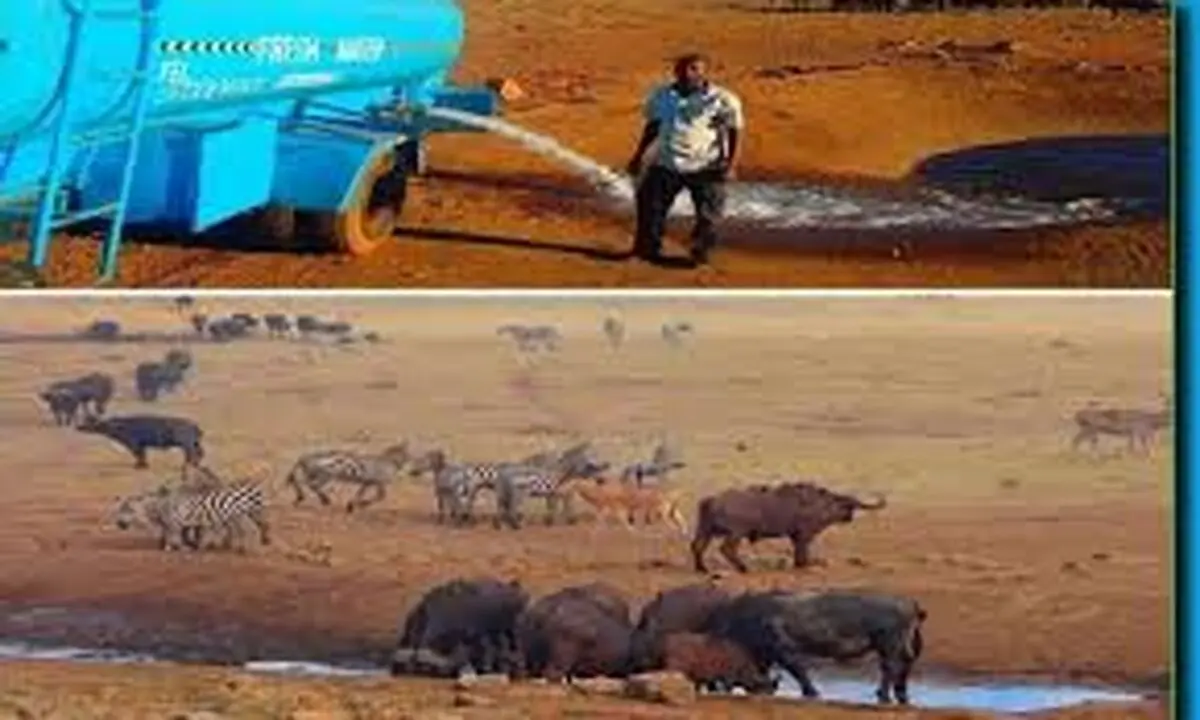 نجات دهنده حیوانات
