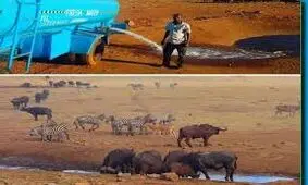 نجات دهنده حیوانات