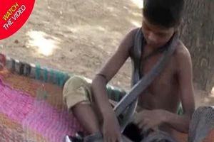 تفریح خطرناک پسر ۷ ساله هندوستانی با مارها! +فیلم