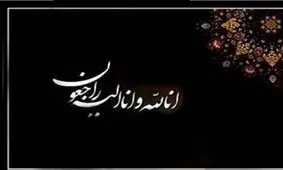 نماینده مردم استان فارس در مجلس خبرگان رهبری داغدار شد