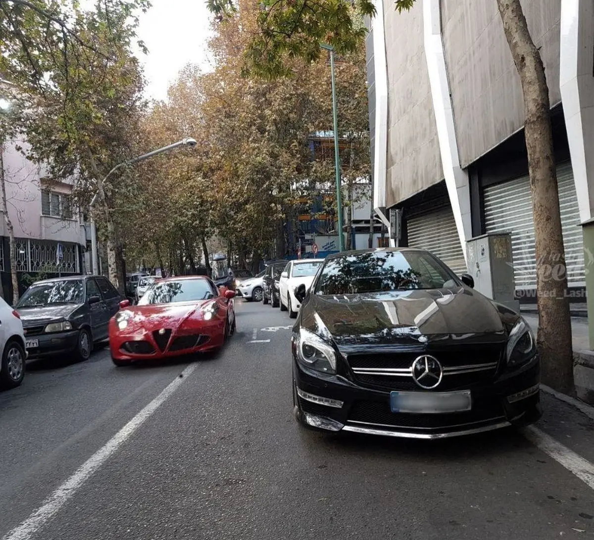 صحنه ای جالب در یکی از خیابان های پایتخت!