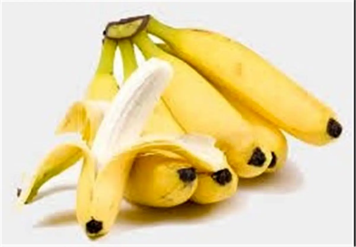 رئیس اتحادیه میوه: فروش ۱۶ هزار تومانی موز قانونی است