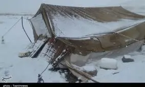۳۶ خانوار عشایری گرفتار در برف نجات یافتند
