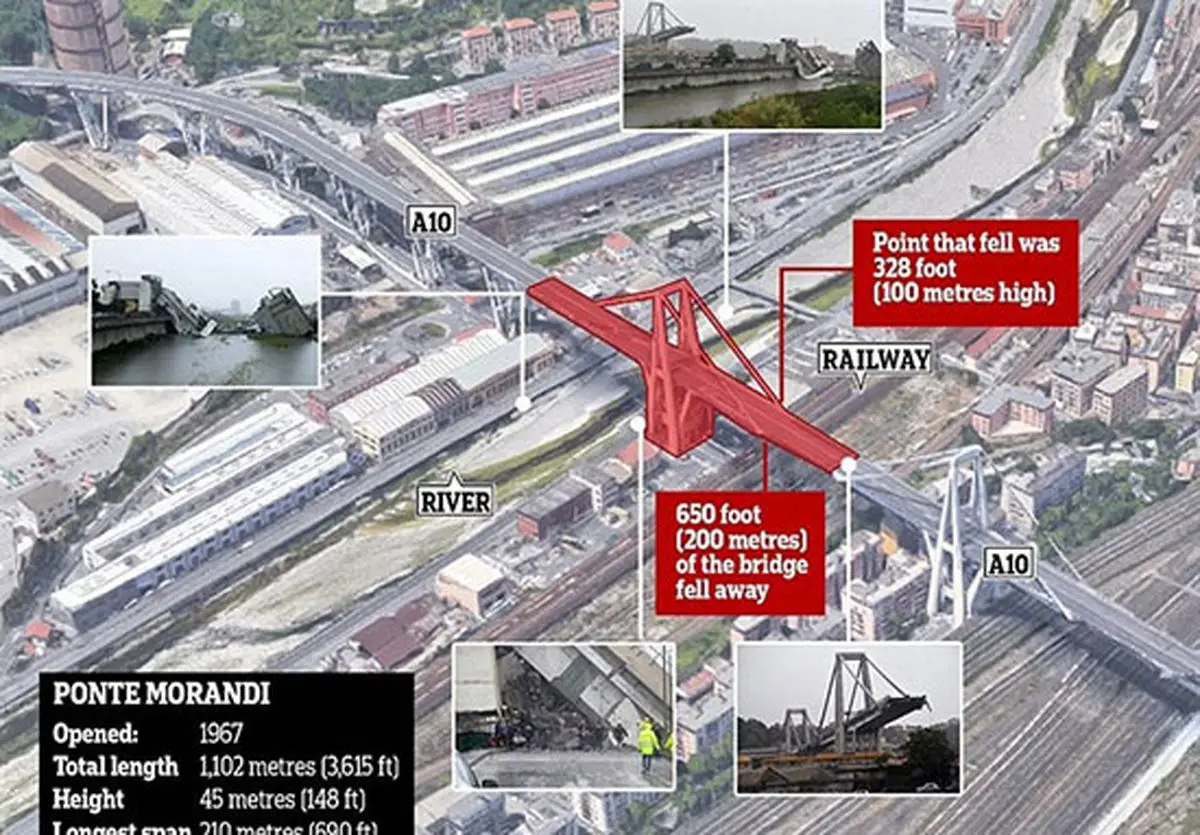 راننده حواس پرتی که حادثه آفرید + فیلم