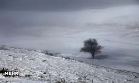 بارش برف در کوه های ایلام