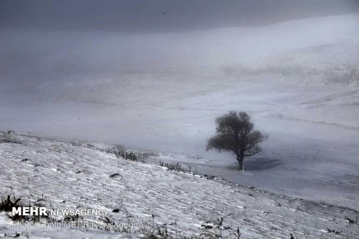 بارش برف در کوه های ایلام