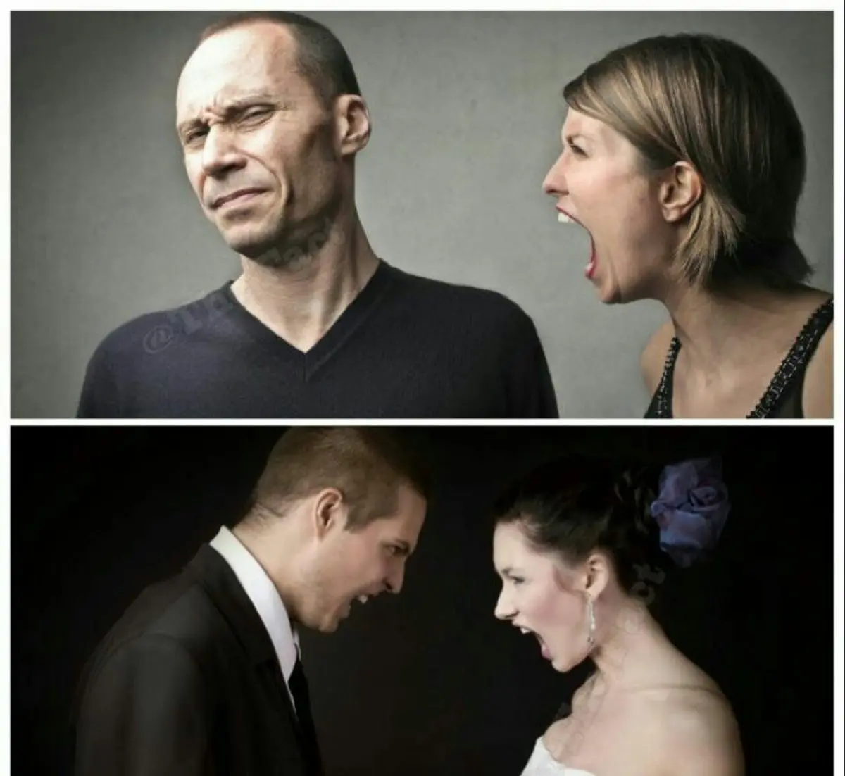 درصدوعلت اختلافات زن و شوهر