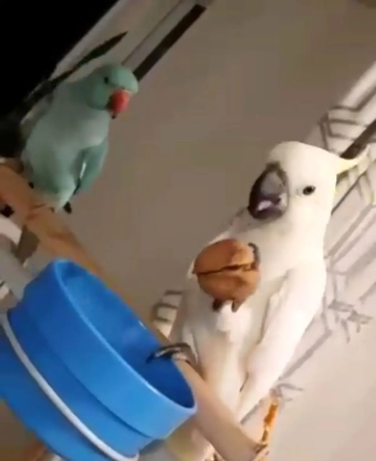 برای رسیدن به خواسته هاتون شجاع باشید