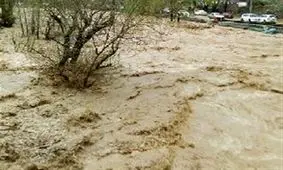 گردشگران از سیلاب کوهدشت نجات یافتند