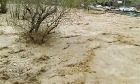 گردشگران از سیلاب کوهدشت نجات یافتند