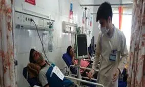 گازگرفتگی در شیروان ۱۳ نفر را روانه بیمارستان کرد