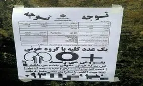 آگهی قابل تامل فروش «کلیه» در تبریز+عکس