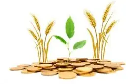 بخشنامه جدید بخشودگی و امهال وام کشاورزان ابلاغ می‌شود