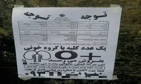 یک آگهی قابل تامل در تبریز
