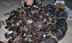 کشف ۱۱۵ کیلوگرم مواد مخدر در گلستان