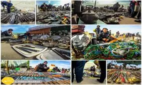 جمعه بازار پنجتن مشهد