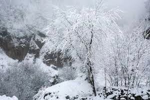 بارش برف در پیست اسکی شیرباد مشهد+فیلم