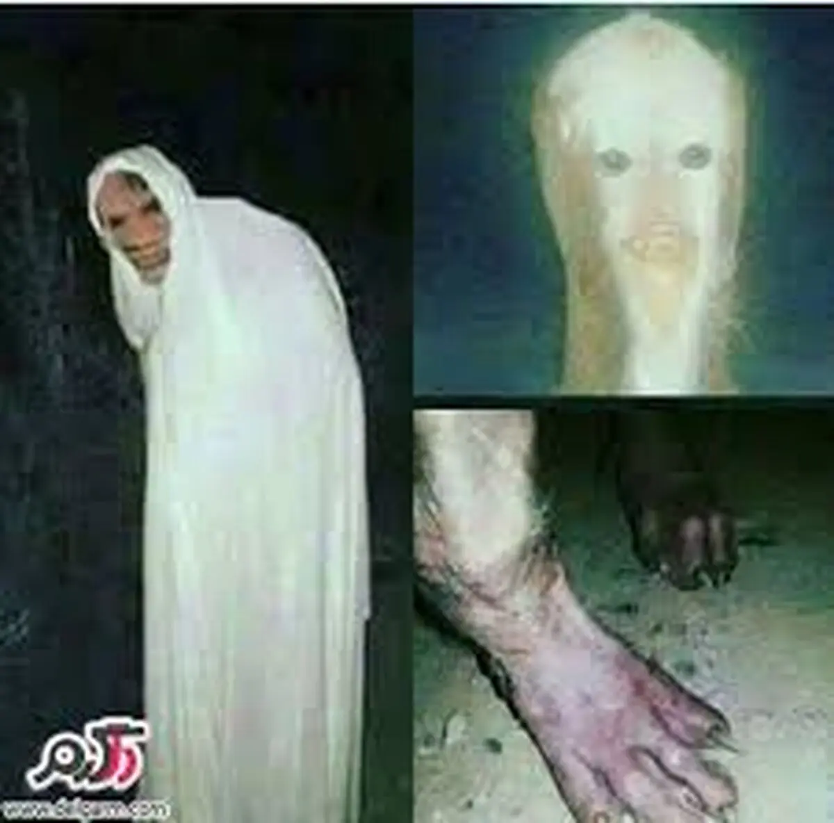 حقایقی عجیب در مورد جن ها