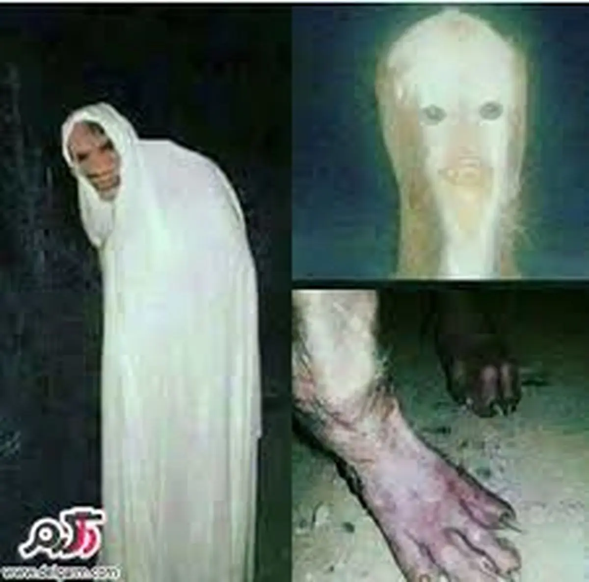 حقایقی عجیب در مورد جن ها