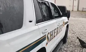 تیراندازی بین مامور پلیس و مهاجر غیرقانونی + فیلم