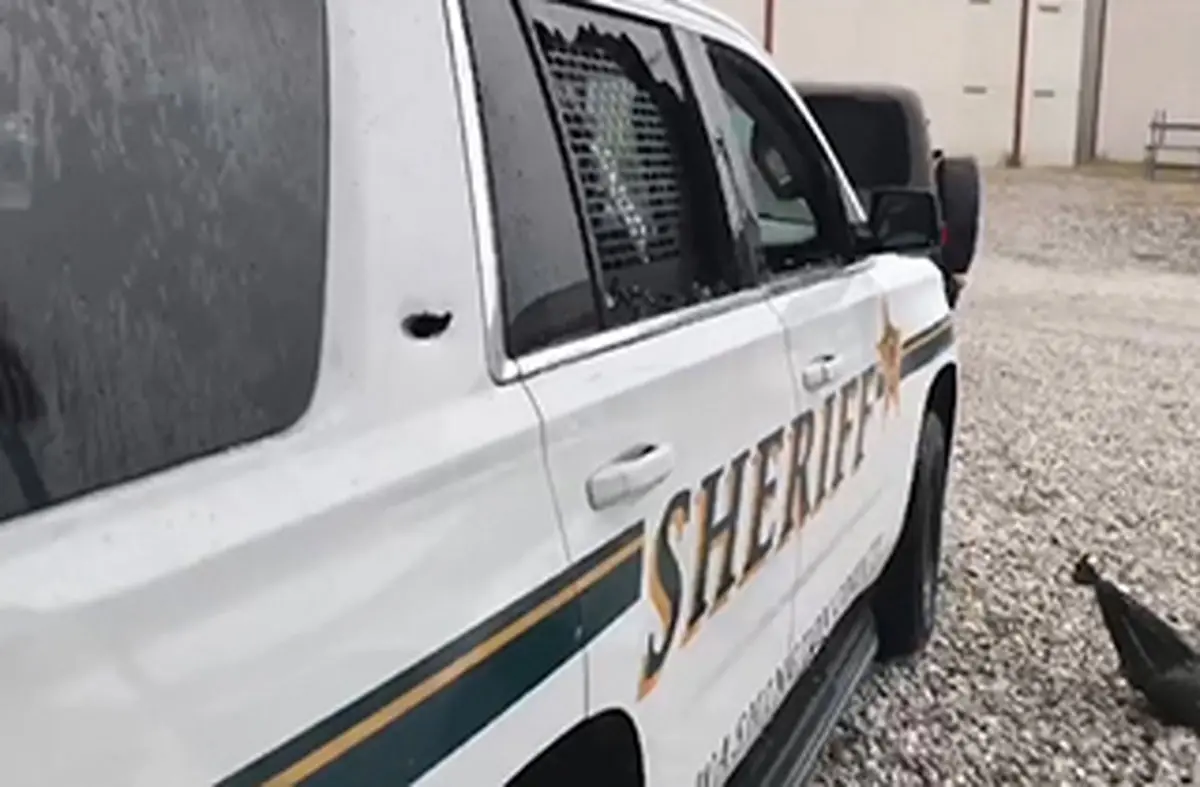 تیراندازی بین مامور پلیس و مهاجر غیرقانونی + فیلم