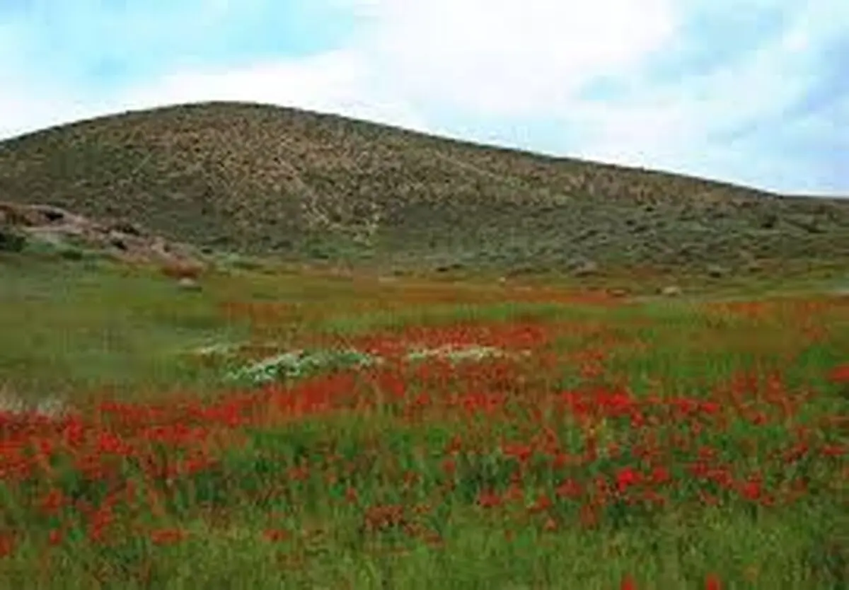 تصویری زیبا پس از بارش تگرگ در میمه