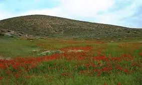 تصویری زیبا پس از بارش تگرگ در میمه
