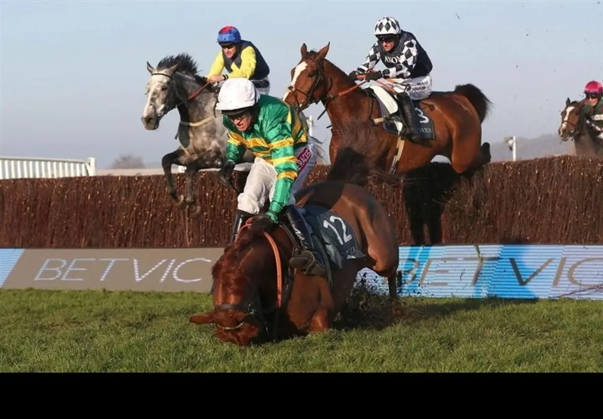 سقوط وحشتناک سوارکار ایرلندی از روی اسب و حادثه‌ای که بخیر گذشت