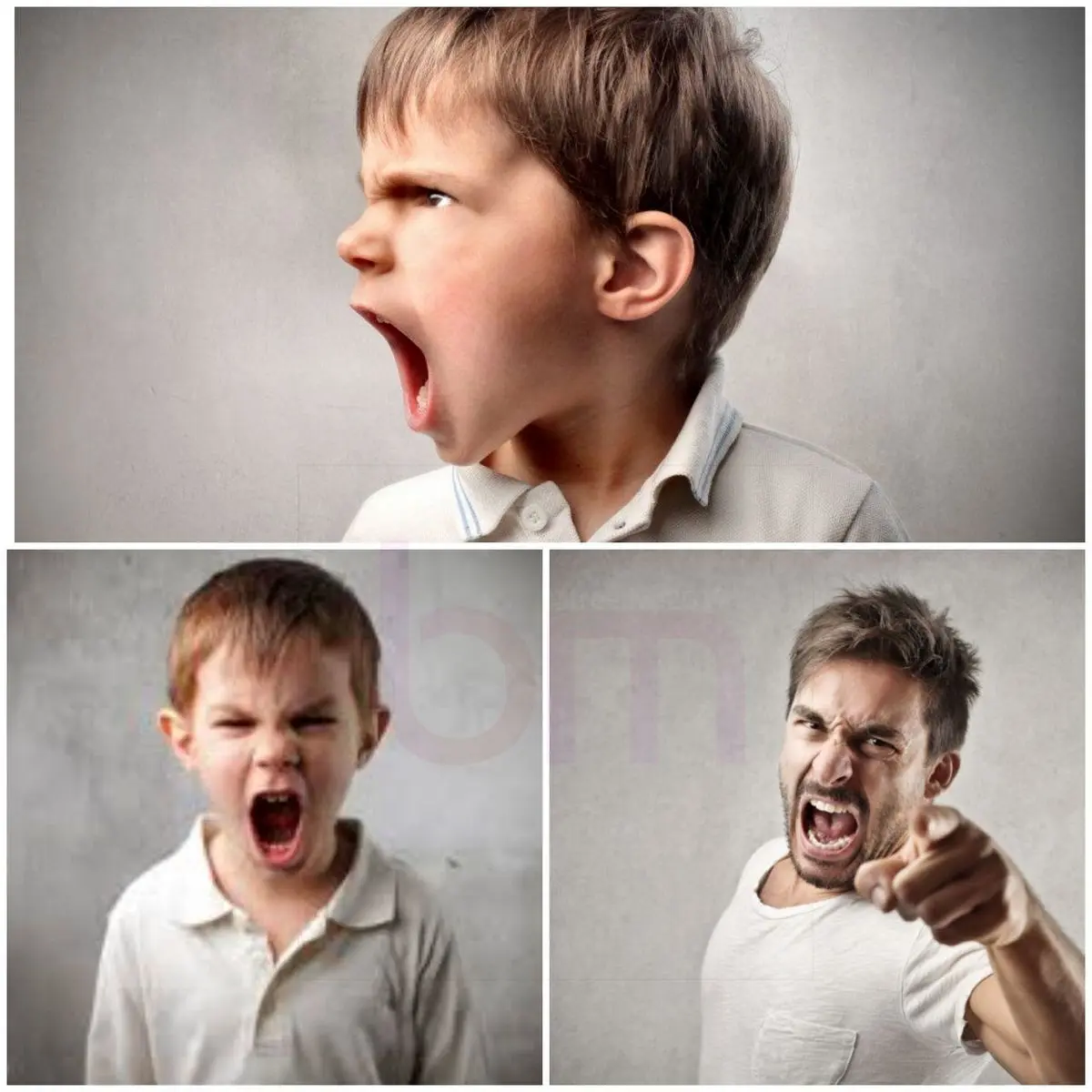 چرا آدم‌ها وقتی عصبانی می‌شوند هرچه در دلشان هست می‌گویند ؟